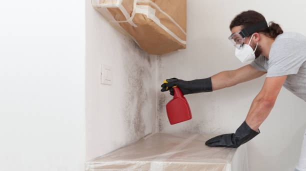 Professional Basement Mold Remediation technician working in Beaver Springs, PA